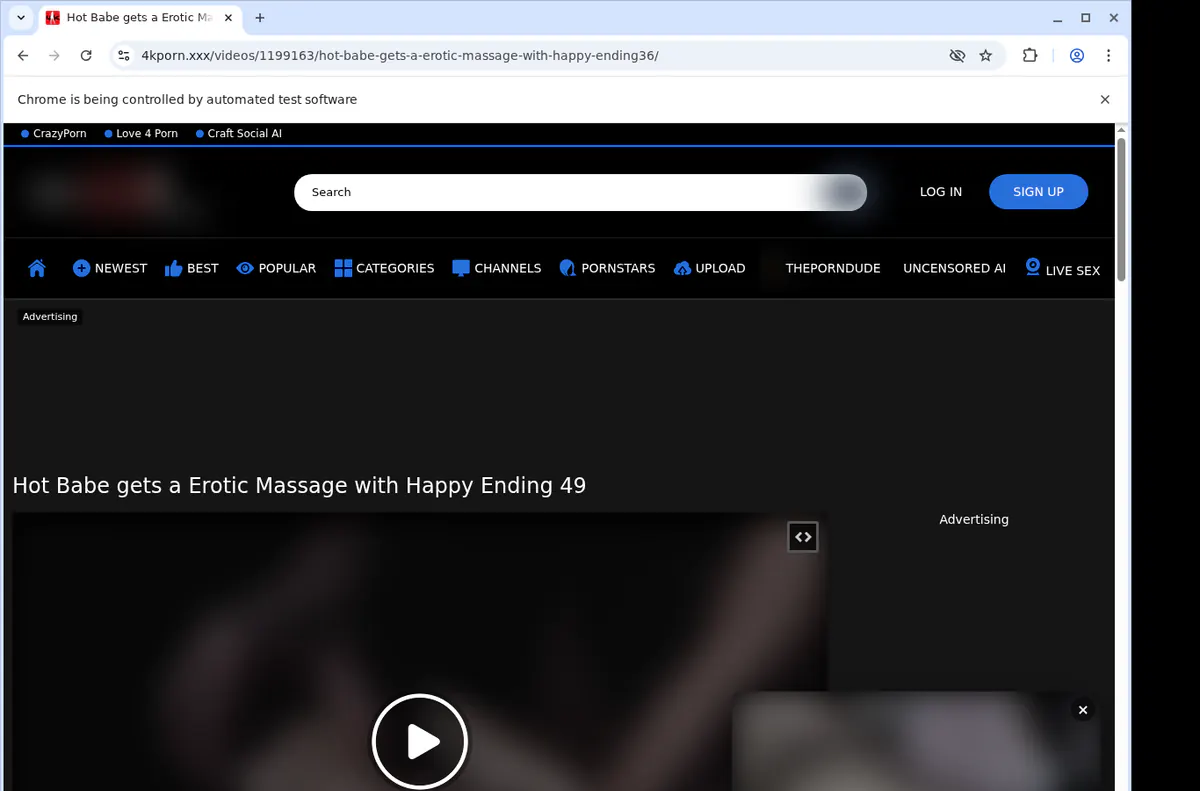 4kporn Video Downloader screenshot 2