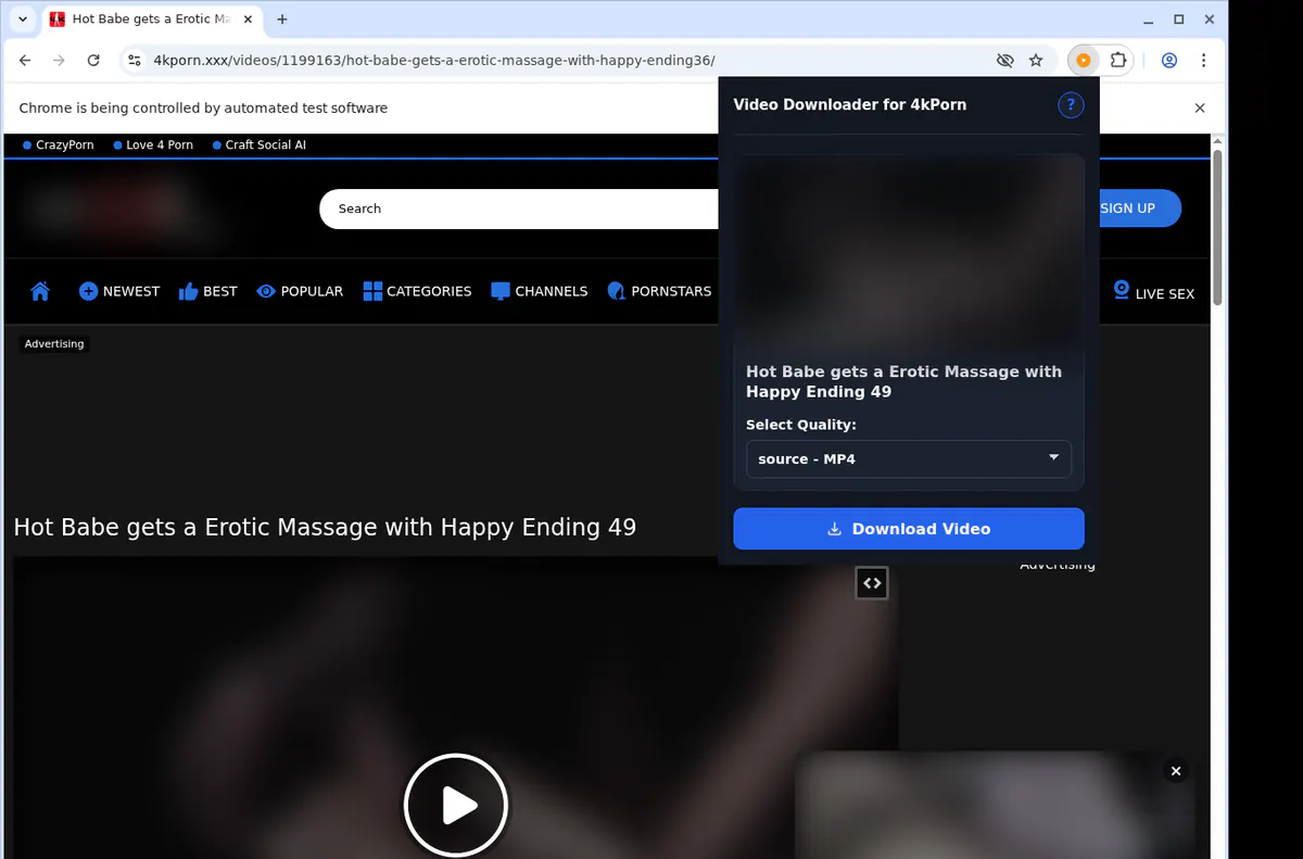 4kporn Video Downloader screenshot 3